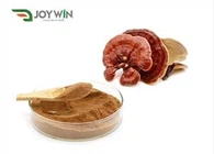Extrait de champignon Reishi polysaccharide 30%-50%